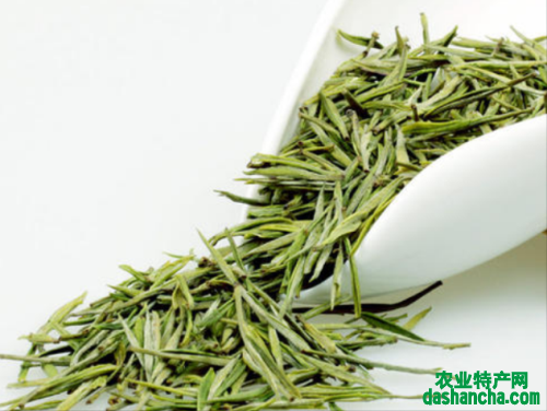  安吉白茶最贵多少钱一斤 2020最贵的安吉白茶价格售价详情