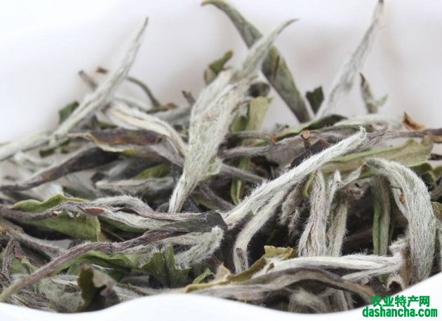  白茶一般多少钱一斤 2020年普通白茶的市场价格详情
