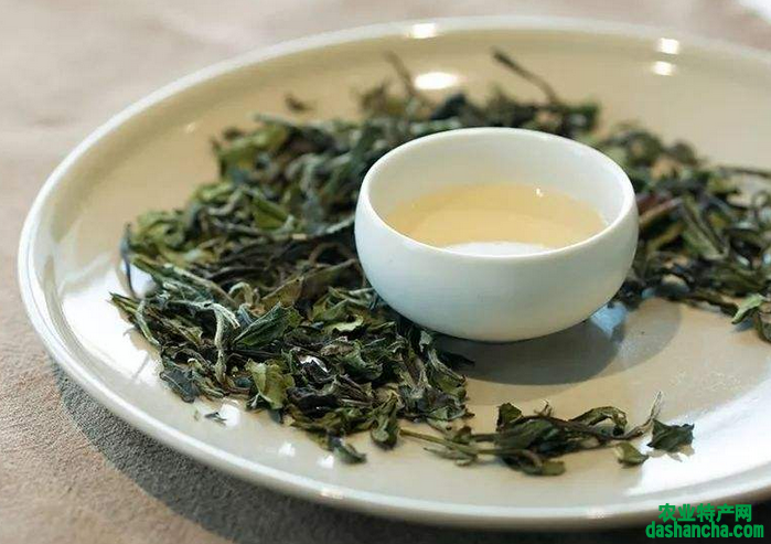  普通白茶多少钱一斤 2020白茶的最新售价介绍
