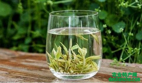  安吉白茶多少钱一斤 2020安吉白茶的最新销售价格