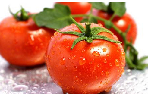 番茄的保存方法