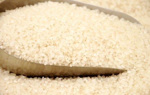 新鲜大米与陈米的区分