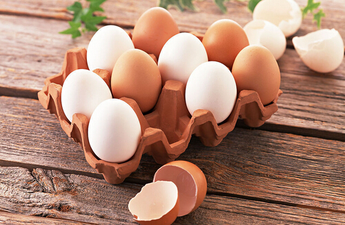 蛋类是我们营养的珍品